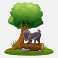 Cartoon mandrill baboon under tree