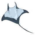 Cartoon Manta Ray. Numb-fish Vector Illustration