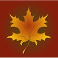 Cartoon maple leaf