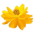 Cartoon marigold flower