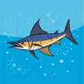 Cartoon Marlin fish in the sea, vector