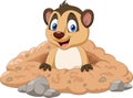 Cartoon meerkat in a hole Royalty Free Stock Photo