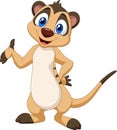 Cartoon meerkat posing Royalty Free Stock Photo
