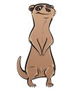 Cartoon meerkat, suricate, suricata, suricatta Royalty Free Stock Photo