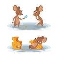Cartoon mice on cheese plate vector illustration. Mouse with cheese isolated on white background