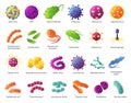 Cartoon microbe. Biological microorganisms, virus cells, infecting germs, bacteria. Pathogenic organisms and causing