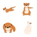 Cartoon mink icons set cartoon vector. Cute funny mink animal Royalty Free Stock Photo