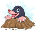 Cartoon mole come out of the hole Royalty Free Stock Photo