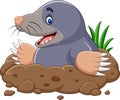 Cartoon mole come out of the hole Royalty Free Stock Photo