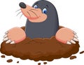 Cartoon mole gesturing Royalty Free Stock Photo