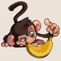 Cartoon monkey banana examines Royalty Free Stock Photo