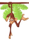 Cartoon monkey chimpanzee hang down the tree.