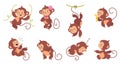 Cartoon monkey. Exotic monkeys different poses and emotions. Tropical wild animals, funny isolated primates. Rainforest