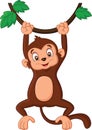 Cartoon monkey hanging in tree Royalty Free Stock Photo