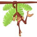 Cartoon monkey hanging from the tree on its tail. Vector illustration Royalty Free Stock Photo
