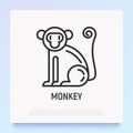 Cartoon monkey thin line icon. Modern vector illustration for Chinese horoscope
