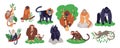 Cartoon monkeys characters. Different breeds primates. Tropical funny mammals. Chimpanzee or baboon. Anthropoids animals