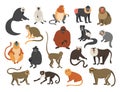 Cartoon monkeys. Exotic tropical animals. Different types of primate breeds. Mandrill and bekantan. Climbing lemur