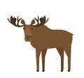 Cartoon moose elk on white background