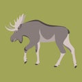 Cartoon moose ,vector illustration ,flat style ,profile Royalty Free Stock Photo