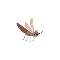 Cartoon mosquito character. Vector insect illustration. Royalty Free Stock Photo