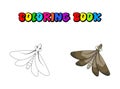 Cartoon moth coloring book insect isolated on white background