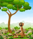 Cartoon mother meerkat with her little baby in the jungle Royalty Free Stock Photo