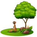 Cartoon mother meerkat with her little baby under a tree on a white background