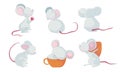 Cartoon Mouse Character with Long Pink Tail Carrying Cheese Slab and Sleeping in Big Cup Vector Set