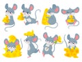 Cartoon mouse with cheese. Cute little mouses, funny mouse mascot and mice steal cheese vector set Royalty Free Stock Photo