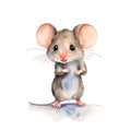 Cartoon mouse. Isolated on white background. Illustration for pet, animal, cute rat concept, Children\'s illustration