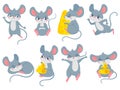 Cartoon mouse. Little cute mouses, funny small rodent pet and mice with cheese vector set