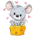 Cartoon Mouse is sitting on a cheese on a white background