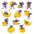 Cartoon mouse vector mousy animal character rodent and funny rat with cheese eating cheesy food illustration mousey set Royalty Free Stock Photo