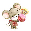 Cartoon mouse watercolor illustration. cute mice. Royalty Free Stock Photo