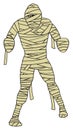 Cartoon Mummy