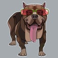 Cartoon muscular dog a pitbull in the pink glasses