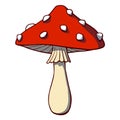 Cartoon mushroom amanita. Vector illustration