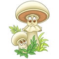 Cartoon Mushroom Champignon Shiitake boletus