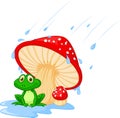 Cartoon mushroom with a toad