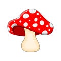 Cartoon mushroom toadstool isolated on white background Royalty Free Stock Photo