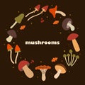 Cartoon mushrooms isolated vector illustration set. Royalty Free Stock Photo