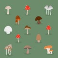 Cartoon mushrooms. Isolated vector illustration set. Forest wild mushrooms types. Royalty Free Stock Photo