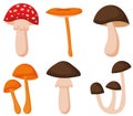 Set of vector illustrations of poisonous and edible mushrooms. Types of forest mushrooms. Royalty Free Stock Photo