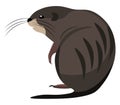 Cartoon muskrat set on isolated white background viewed from behind vector or color illustration Royalty Free Stock Photo