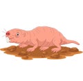 Cartoon naked mole rat smiling Royalty Free Stock Photo