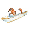 Cartoon nambat, anteater and boat watercolor illustration isolated on white background.