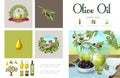 Cartoon Natural Olive Infographic Template