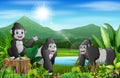 Cartoon of the nature landscape with gorilla group Royalty Free Stock Photo