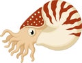 Cartoon nautilus